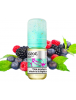 Vozol Salt 10ml 20mg – Sour Berries
